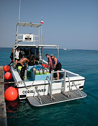 coral diver cozumel dive boat