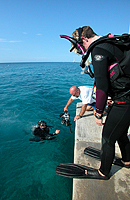 Easy shore diving at Scuba Club Cozumel
